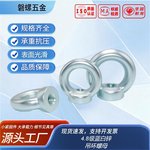 吊环螺母（正标，锻打）DIN582 4.8级 蓝白锌