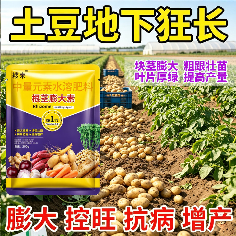 土豆专用肥土豆膨大素地下猛长膨胀剂马铃薯膨大剂增产土豆叶面肥