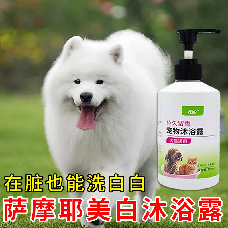 萨摩耶专用沐浴露亮白去黄狗狗白毛犬沐浴液宠物狗清洁用品香波
