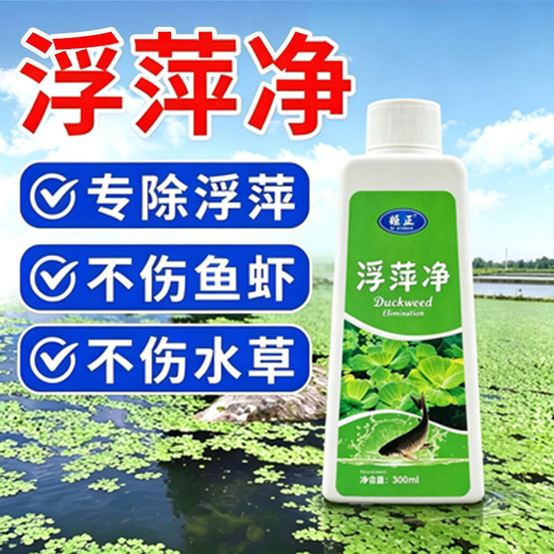 鱼池净水剂鱼塘净水除藻去苔剂青苔清除剂鱼缸除浮萍清池塘变清