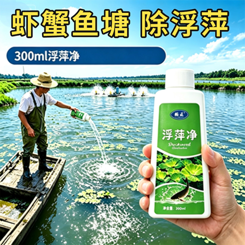 鱼池净水剂鱼塘净水除藻去苔剂青苔清除剂鱼缸除浮萍清池塘变清