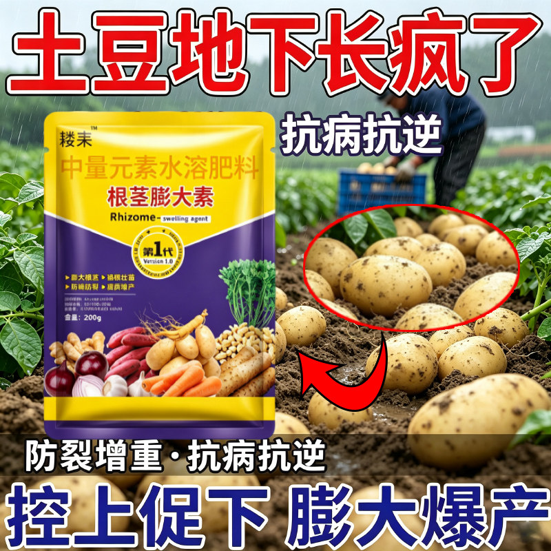 土豆专用膨大素马铃薯洋芋膨大剂防裂抗病增产膨大素高产量专用肥