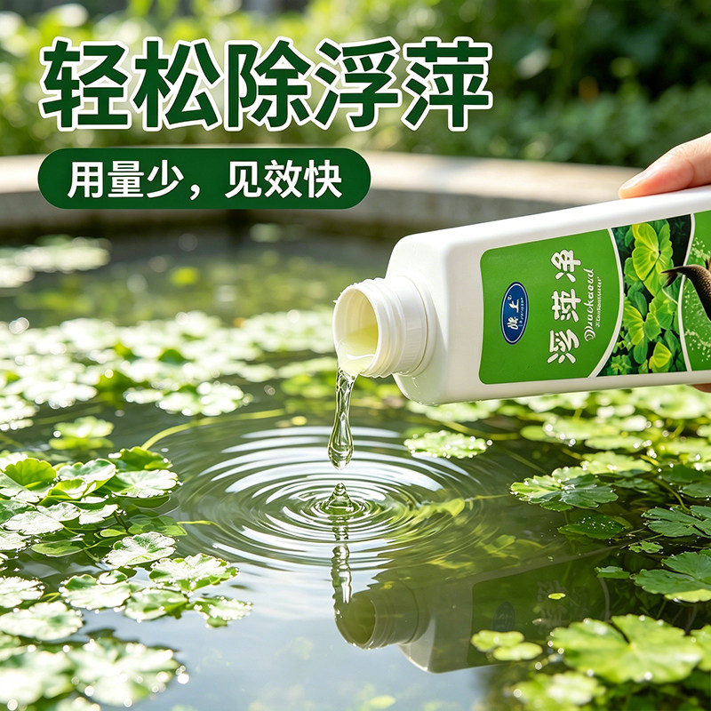 鱼池净水剂鱼塘净水除藻去苔剂青苔清除剂鱼缸除浮萍清池塘变清