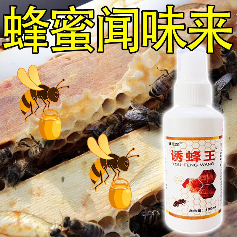 新手诱蜂专用诱蜂蜡用收蜂引蜂招蜂诱蜂水膏蜜蜂养蜂饲料蜂具