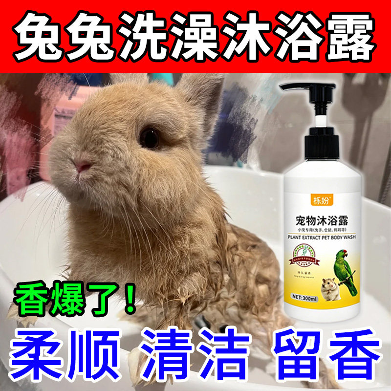 兔子沐浴露除臭专用豚鼠荷兰猪沐浴露抗菌除臭除螨豚鼠洗澡用品