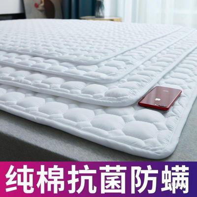 床垫软垫可水洗折叠薄款垫褥家用铺床防滑保护垫被褥子铺底垫