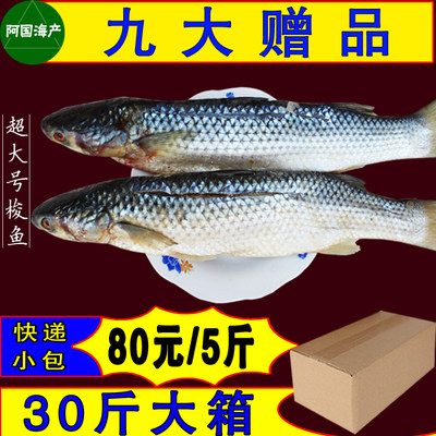 超大号梭鱼5斤装老味道开凌梭鱼2.5kg咸梭鱼渔民海捕非新鲜即食