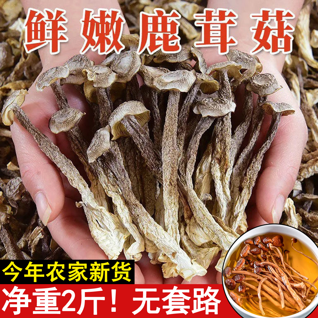 鹿茸菇乾货新鲜菌耳无硫