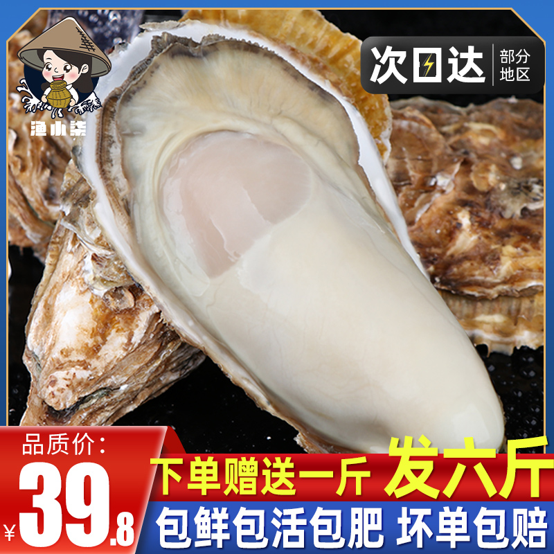 乳山生蚝鲜活特大新牡蛎