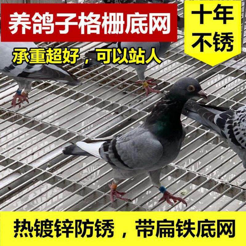 热镀锌鸽舍扁铁地网钢格栅板养殖猪牛羊狗漏粪脚踏网鸽棚平台格栅
