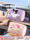 Автомобильная коробка для салфеток Sanrio, коробка для перекачки автомобильной бумаги, подвесная сумка для хранения салфеток, коробка для автомобильного подлокотника, многофункциональная коробка для перекачки mini 0