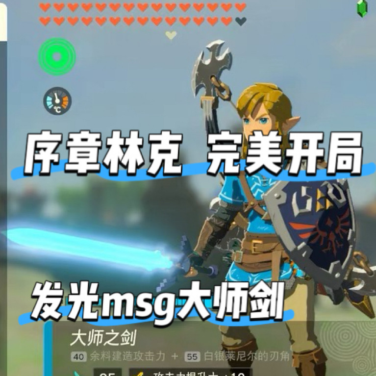 王国之泪序章林克完美开局30心发光msg大师剑满电池开背包刷材料