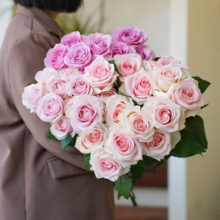 山东日照玫瑰鲜切花基地顺丰直发年宵节白玫瑰红玫瑰情人花束求婚