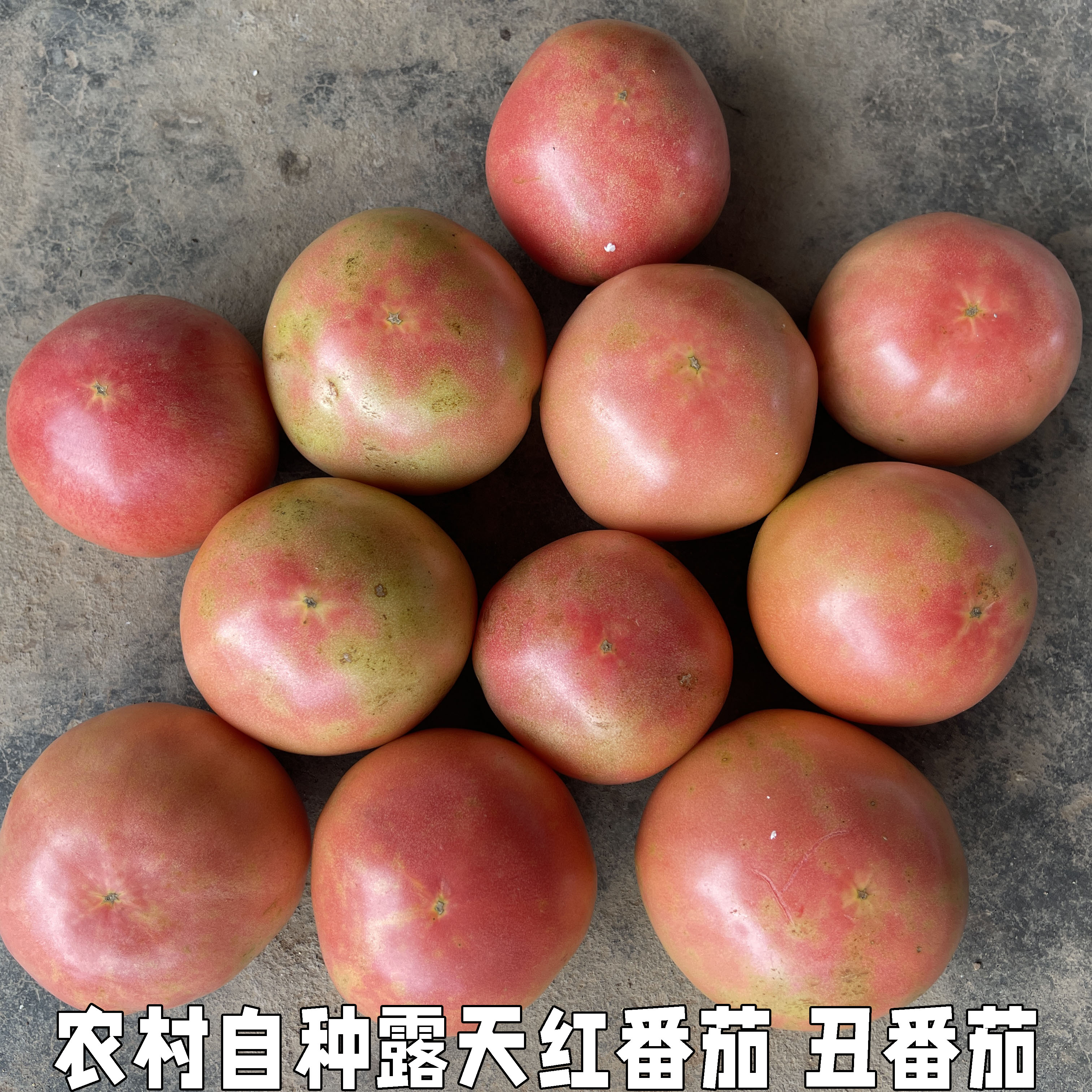 湖北宜昌新鲜蔬菜番茄西红柿农家自然生吃水果番茄5斤红番茄包邮