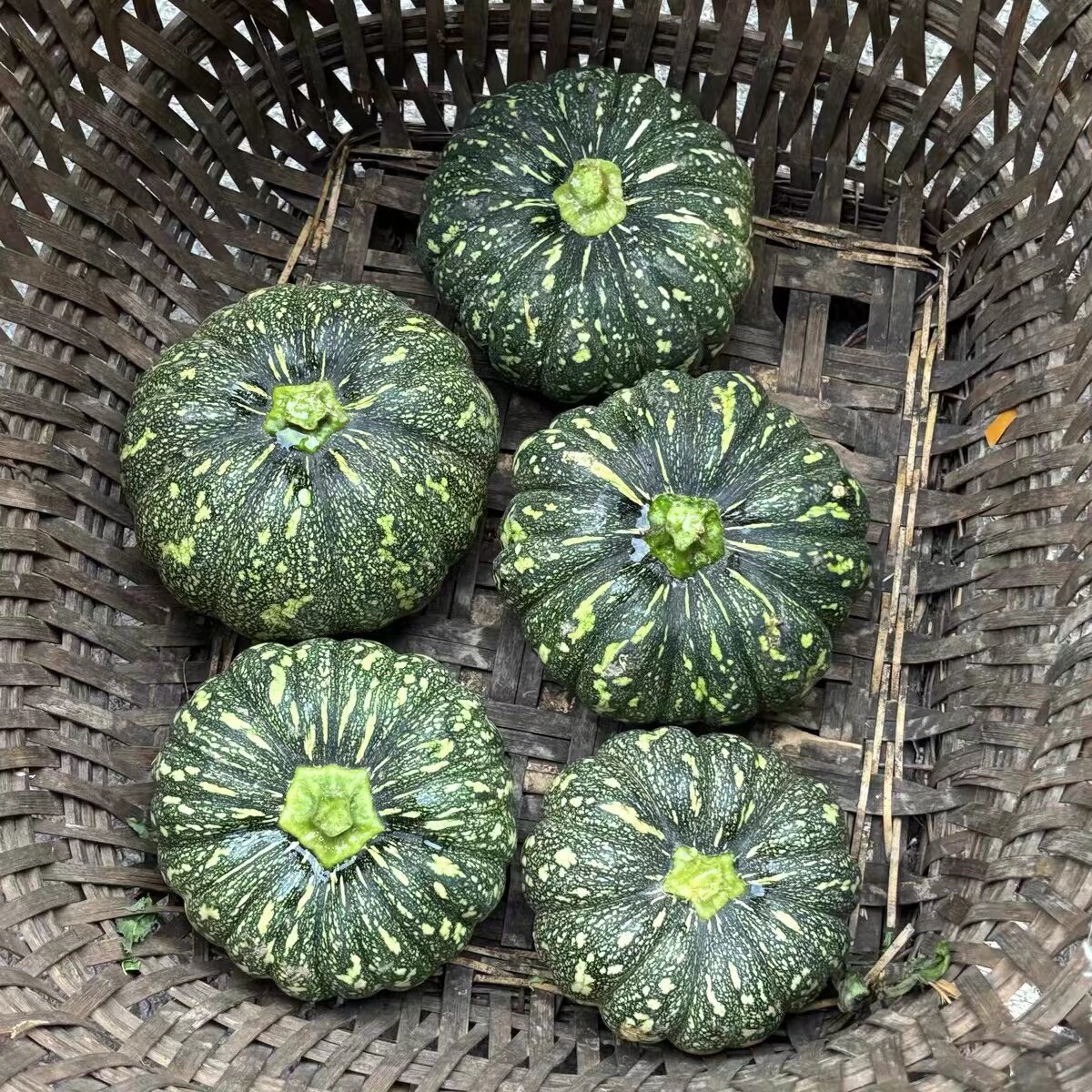 新鲜南瓜贝贝南瓜当季时令农家蔬菜露天本地老品种粉面青皮圆南瓜