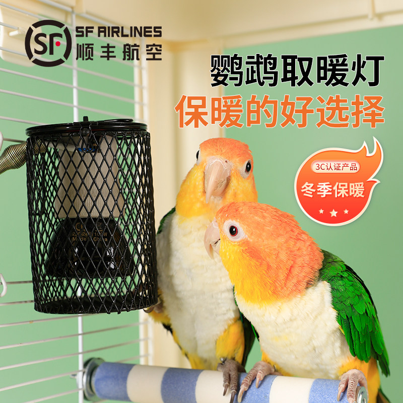 birdstory取暖灯冬季保温