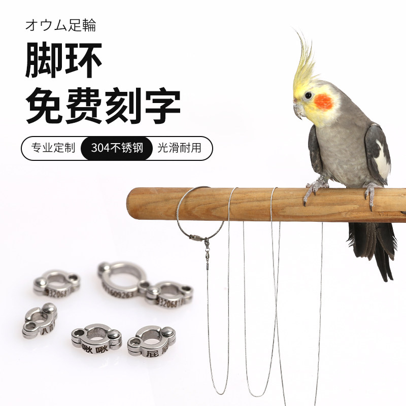 birdstory支持定制不锈钢