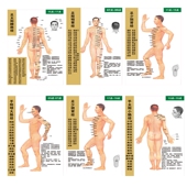 十二经络图海报人体十四经络穴位示意图大挂图14条走向图经脉穴位