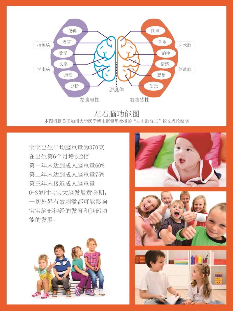 左右脑功能图 墙贴墙纸 海报 才能递减法则 展板 装饰画