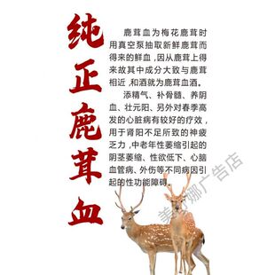 纯正鹿茸血海报展板鹿茸酒鹿茸鹿茸中药养生生精益血补髓健骨墙贴