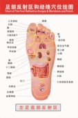 足部反射区和经络穴位挂图足疗店洗脚店海报左足底部反射区墙贴纸