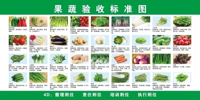 4D厨房原材料验收标准图肉类蔬菜水果海鲜调味果蔬验收标准图海报