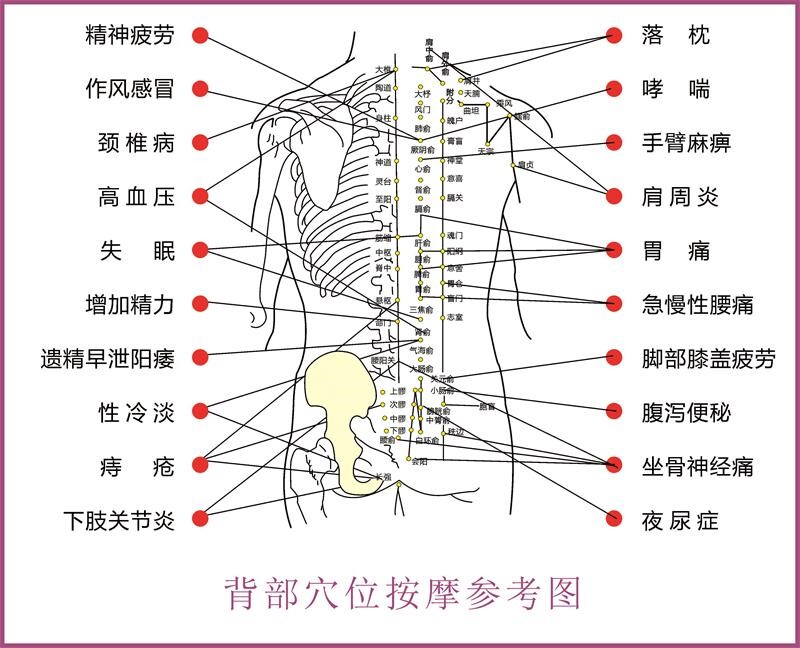背部穴位按摩参考图海报展板反面正面通天六经皮部分布图挂图