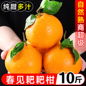 正宗四川春见耙耙柑粑粑柑杷杷柑新鲜水果整箱当季 丑桔子橘旗舰店
