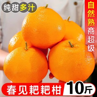 四川春见耙耙柑特级粑粑柑10斤甜橘子当季新鲜水果丑柑桔整箱包邮
