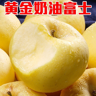 新鲜水果现摘现发自然成熟 山东烟台栖霞酸甜黄金奶油富士苹果当季