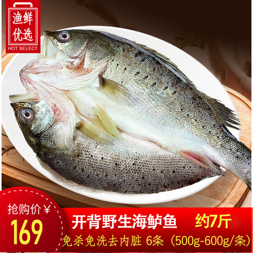 海捕大鲈鱼鲜活生鲜清蒸鲈鱼火锅