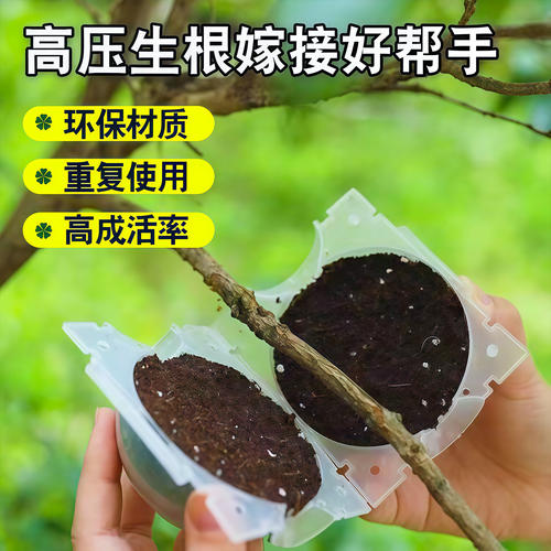 启旺育苗/栽培基质植物繁殖盒