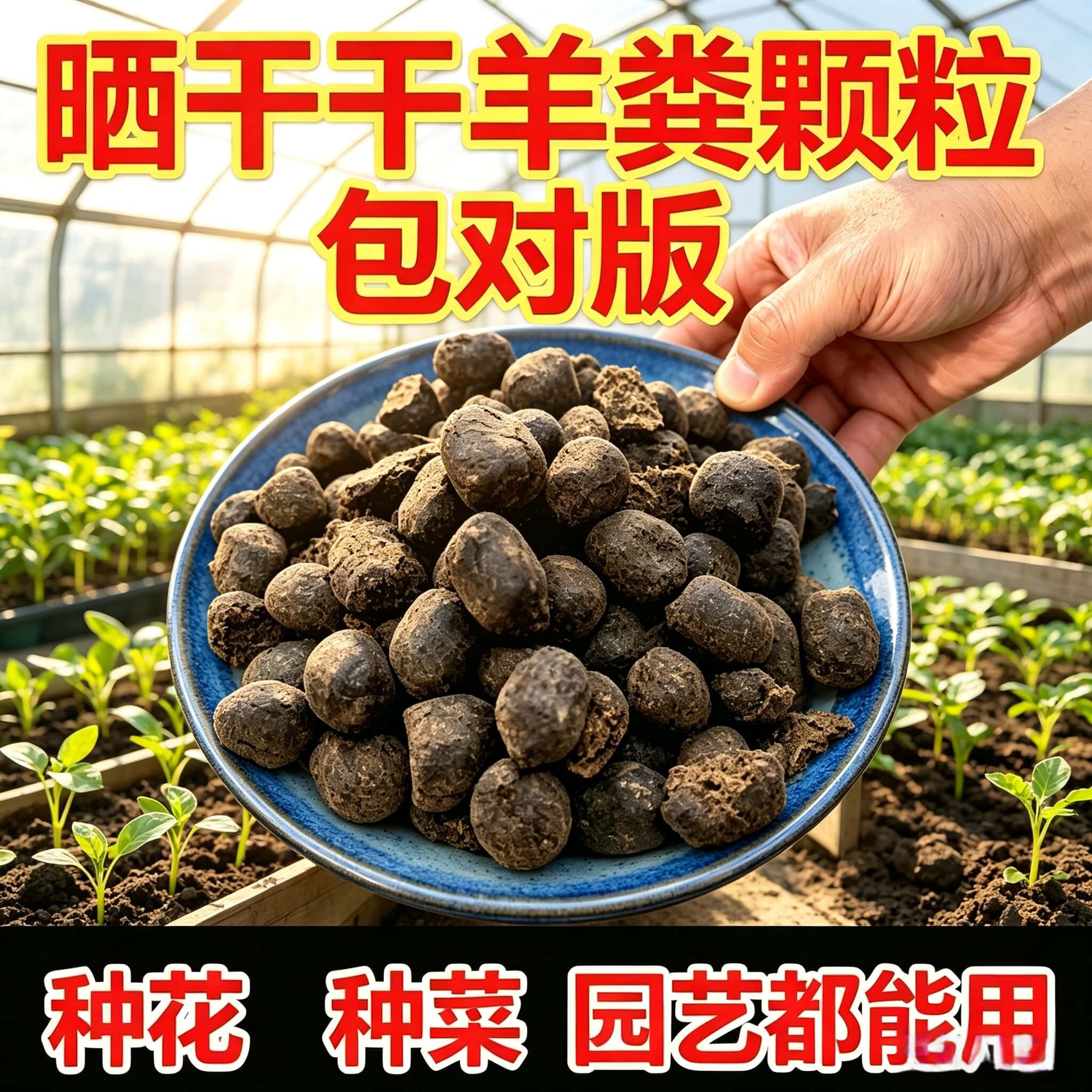 晒干羊粪 发酵有机肥农家原始羊粪花卉君子兰花多肉专用肥包邮