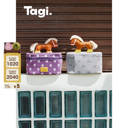 Tagi.收纳袋便携旅行相机包