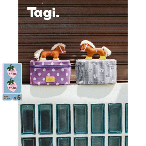 Tagi.收纳袋便携旅行相机包