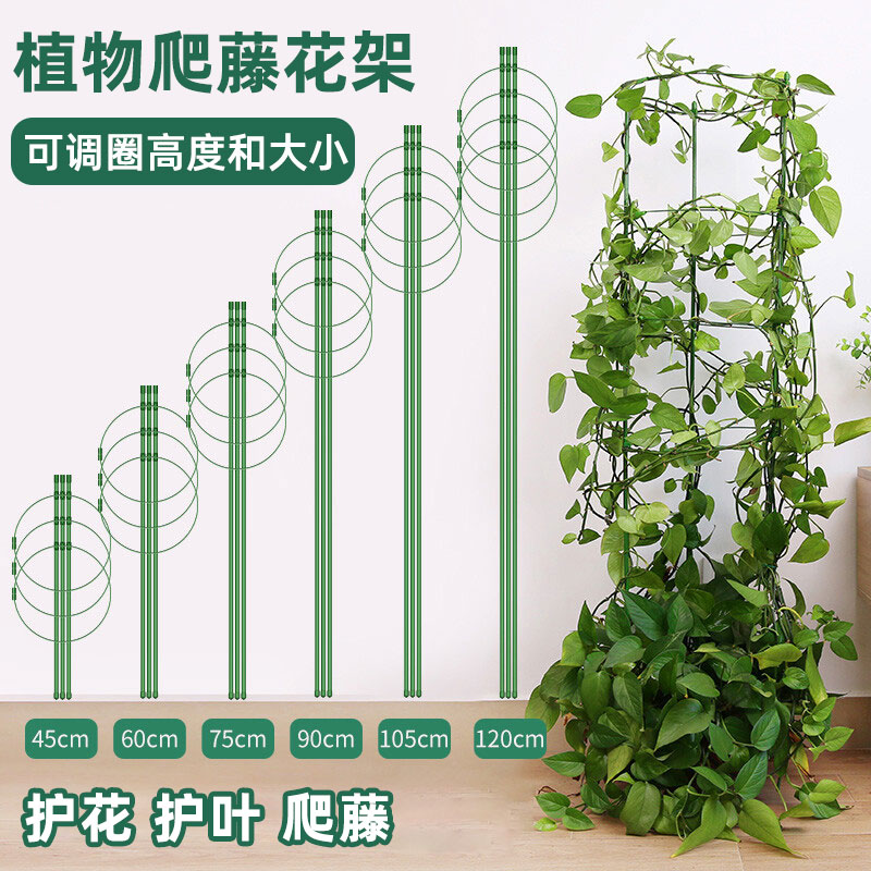 爬藤花架园艺支柱昙花绿萝月季铁线莲植物花支架蟹爪兰防倒支撑杆