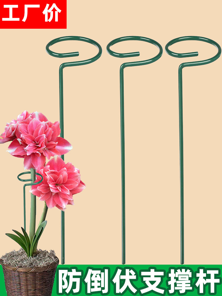 植物防倒伏支架铁艺绣球吊兰支撑杆园艺固定架爬藤花卉朱顶红花架,鲜花速递/花卉仿真/绿植园艺,其它园艺用品,淘宝优惠券,粉丝福利购,淘宝优惠卷