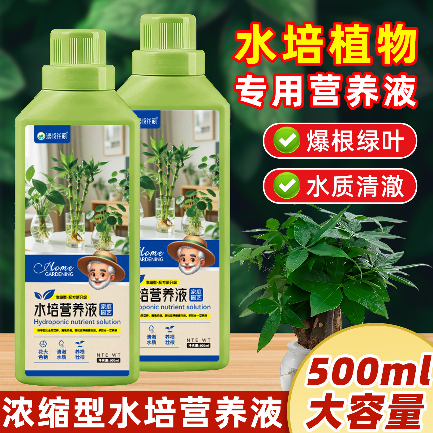 水培植物营养液通用型富贵竹绿萝郁金香铜钱草碗莲水仙花专用肥料