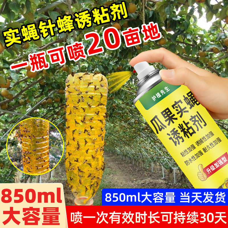 瓜果实蝇诱粘剂果蝇诱捕器灭杀针蜂药果实蝇引诱剂实蝇针蜂诱粘剂