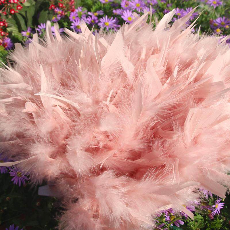 长款火鸡毛羽毛布条裙边演出辅料布边粉色小蝴蝶彩色配饰舞蹈布带,饰品/流行首饰/时尚饰品新,其他DIY饰品配件,淘宝优惠券,粉丝福利购,淘宝优惠卷