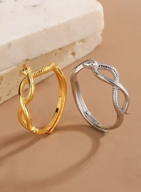 2025新款欧美小灵蛇缠绕麻花戒指女轻奢高级感百搭生肖蛇个性指环