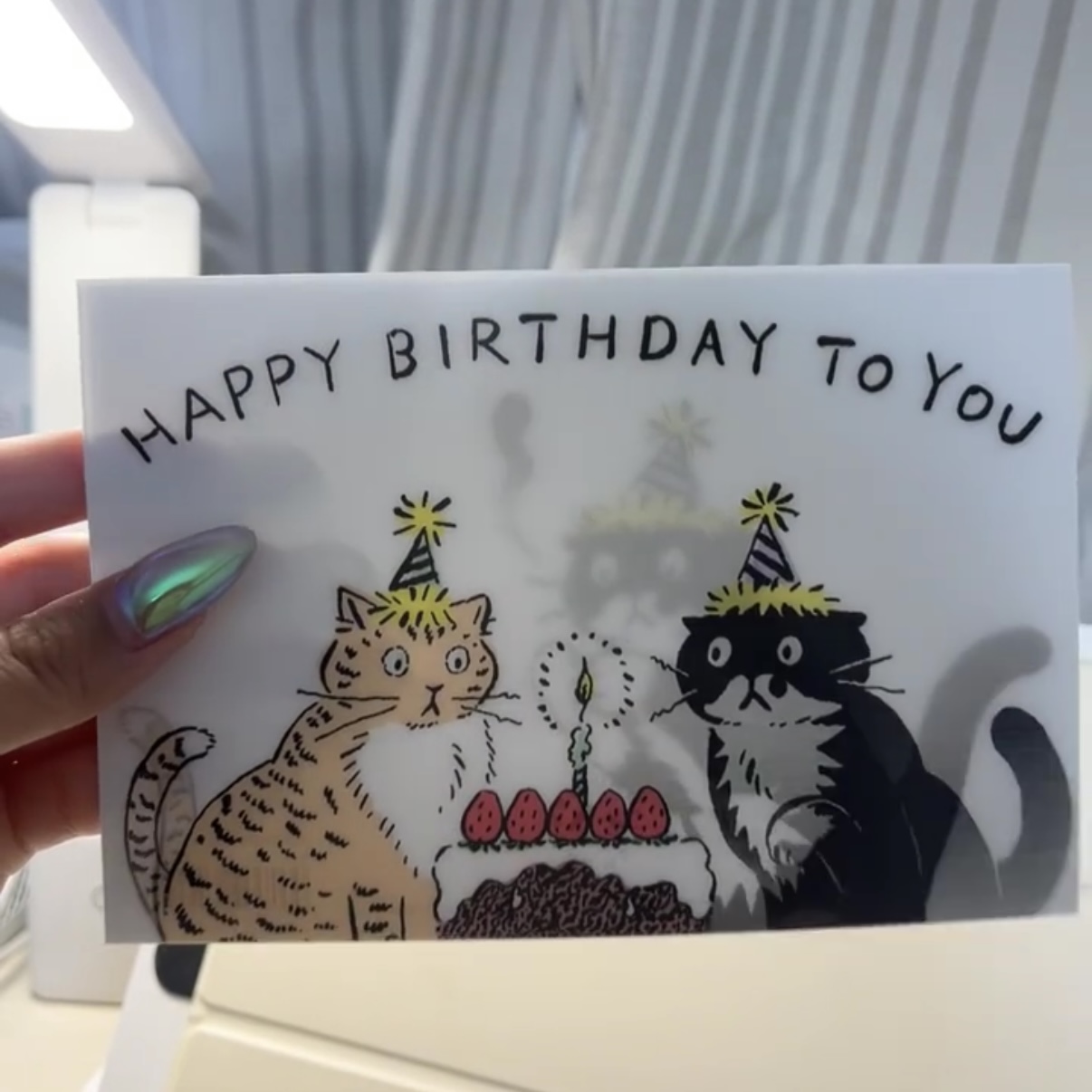 韩国huginnand muninn奶牛猫黑猫吹蜡烛光栅卡祝福明信片生日贺卡