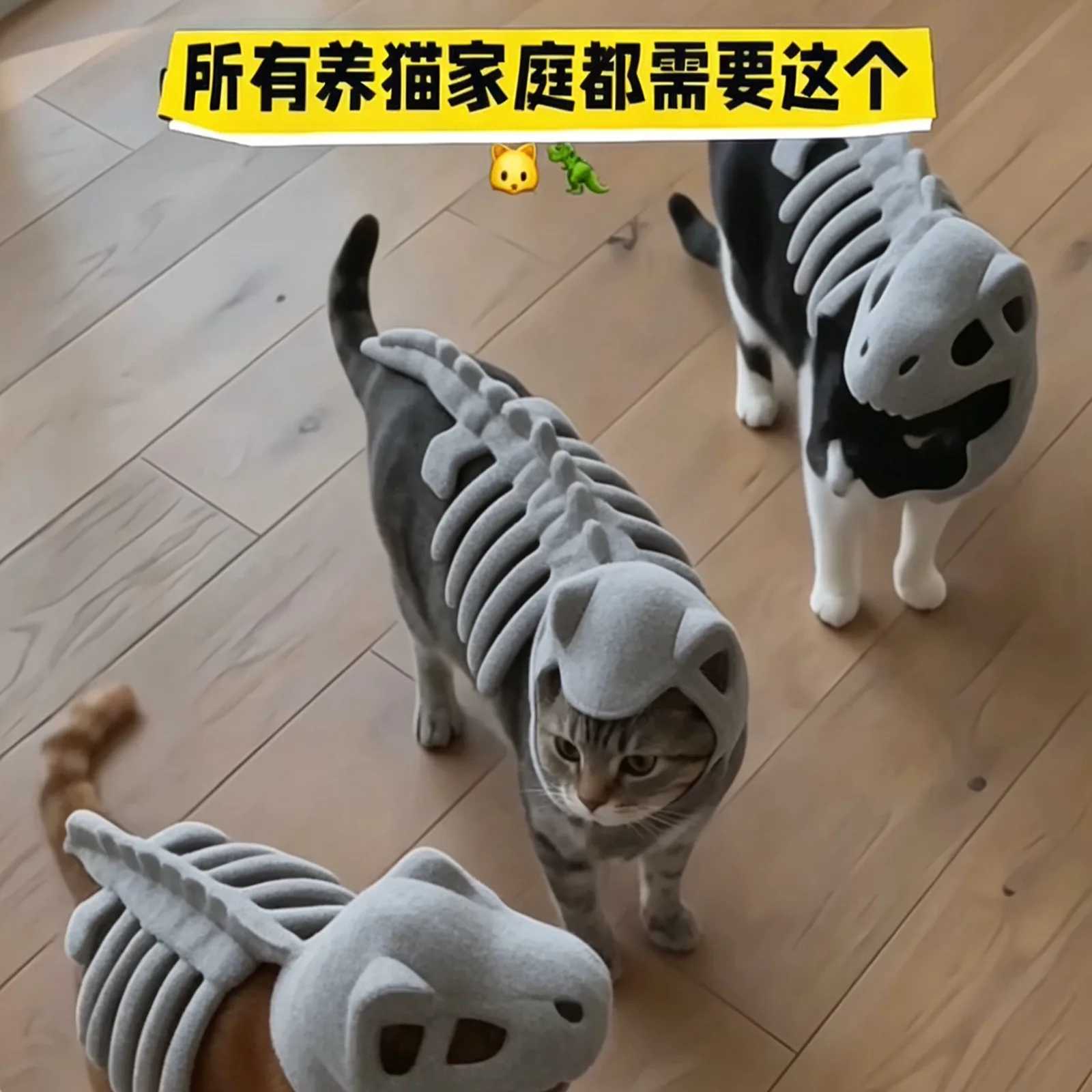 【猫龙~】恐龙骨架宠物衣服创意
