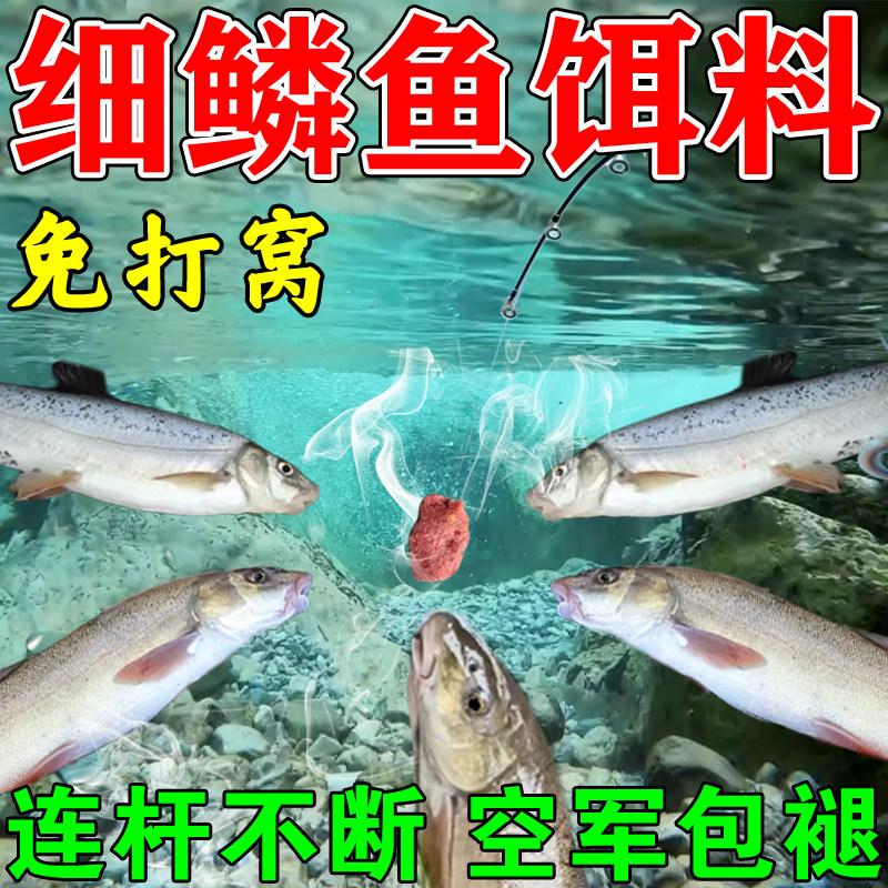 细鳞鱼专用饵料第一名强力诱鱼粉不空军爆护浓腥香野钓窝料路亚饵图片
