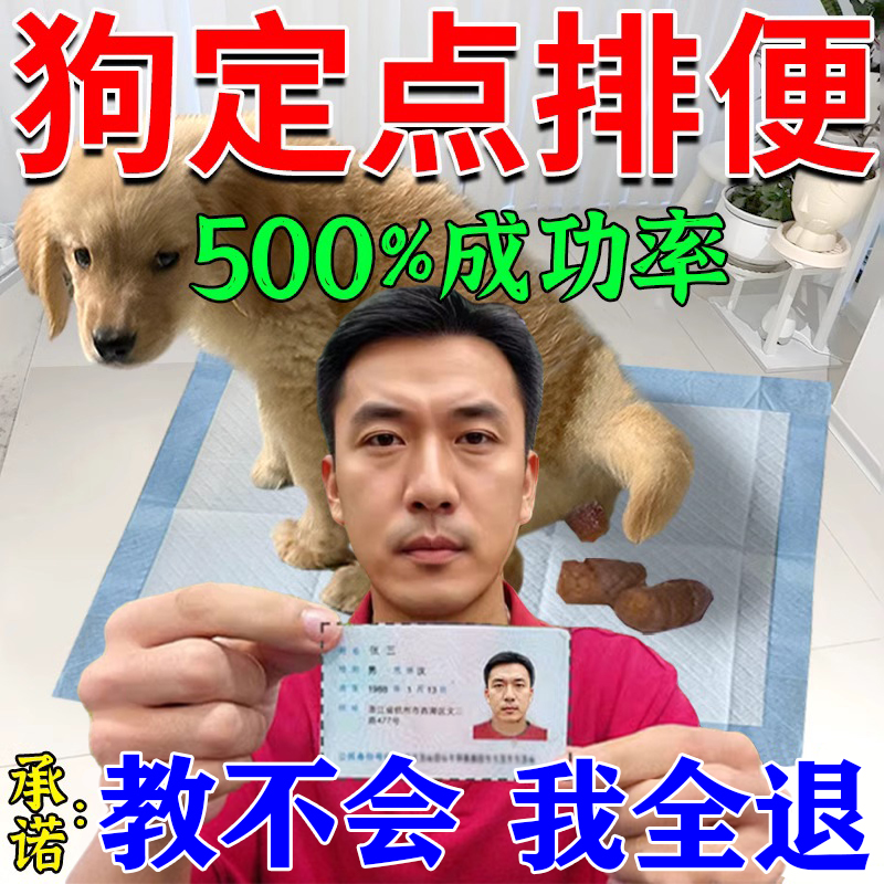当晚学会】狗狗定点上厕所神器训练宠物狗大小排便不乱拉屎诱导剂