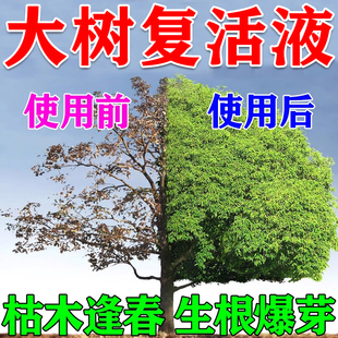 植物复活液大树生根药水黄叶烂根烂苗再生激活营养液枯树复活灵