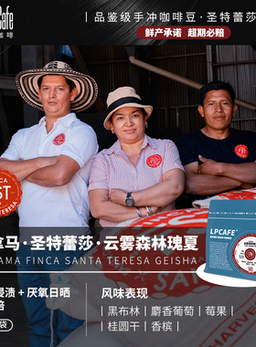 Lpcafe巴拿马圣特雷莎庄园精品日晒瑰夏试验批次甜美果香咖啡豆
