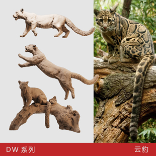 【云豹】龟纹豹 樟豹 猫科动物1/64动物模型手办 35比例微缩白模
