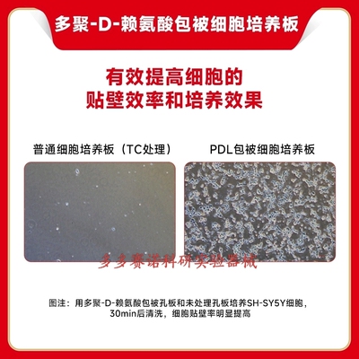 多聚-D-赖氨酸包被细胞培养板(6孔/24孔/96孔单片装)贴壁/半贴壁
