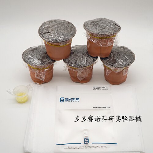拟南芥col-0种植套餐：拟南芥col-0;专用营养液;营养土;无纺布袋